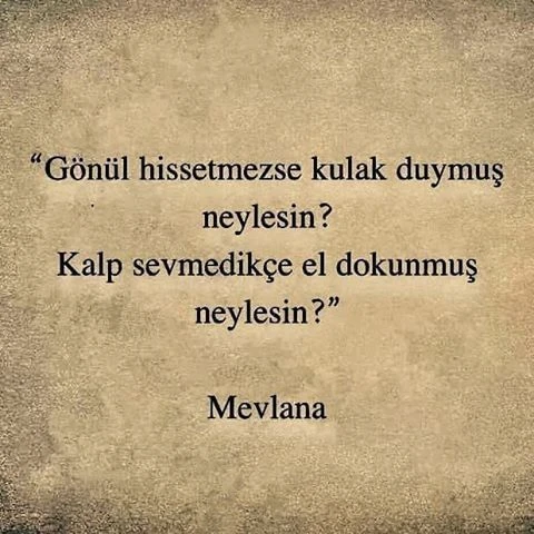 mevlana celaleddını rumının anlamli sozlerı ask hasret sevgı dın (5)